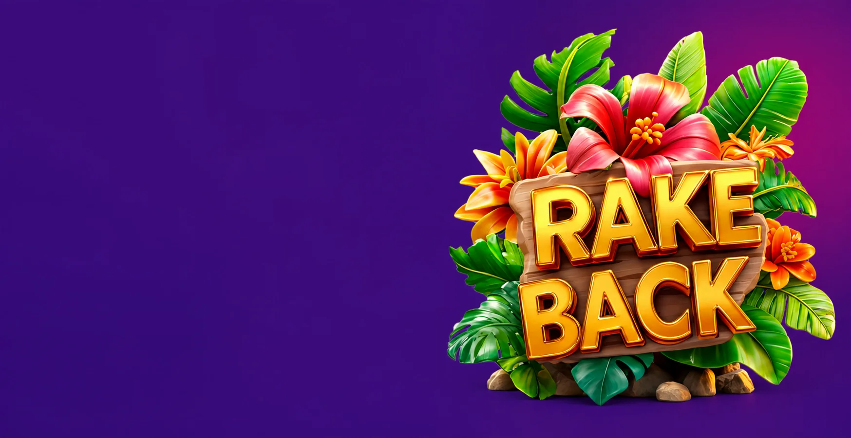 Programma Rakeback